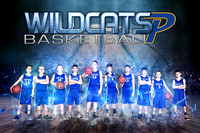 Piedmont 12U Wildcats B - 2x3