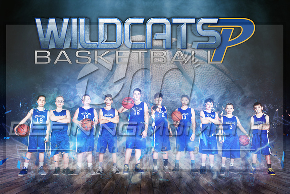 Piedmont 12U Wildcats B - 2x3