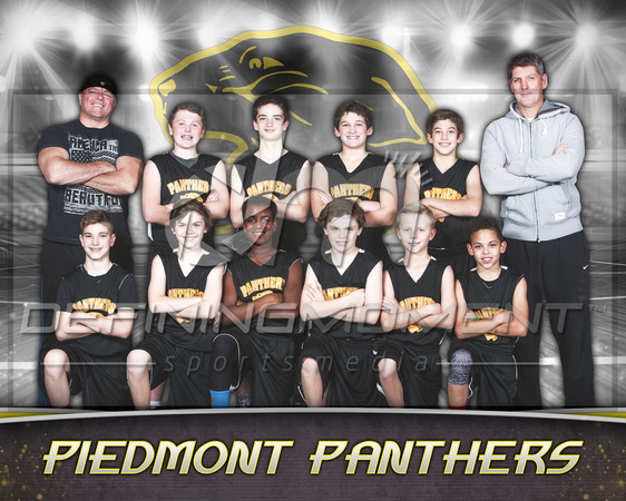 Piedmont 11U Panthers - 4x5