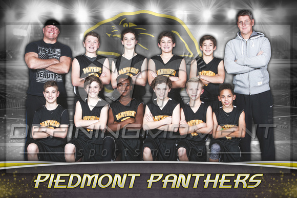 Piedmont 11U Panthers - 2x3