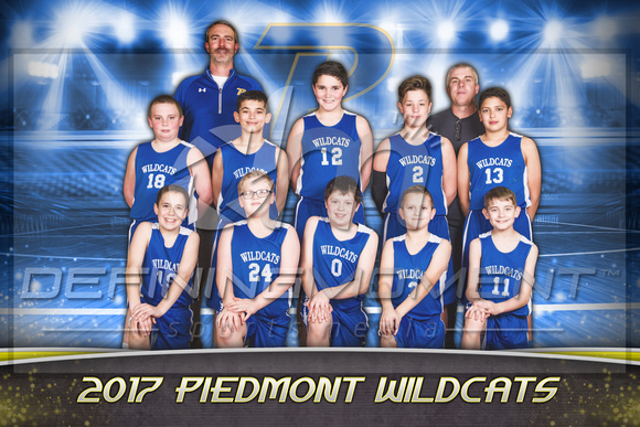 Piedmont 12U Wildcats A