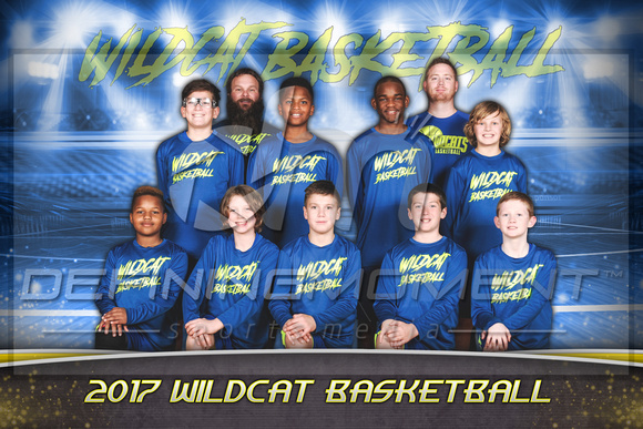 Wildcat 10U Basketball - Team