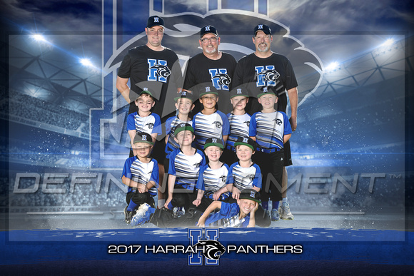 Harrah 5U Panthers