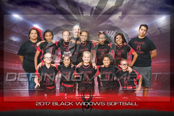 Black Widows Softball 2