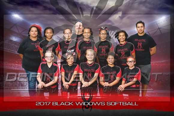 Black Widows Softball