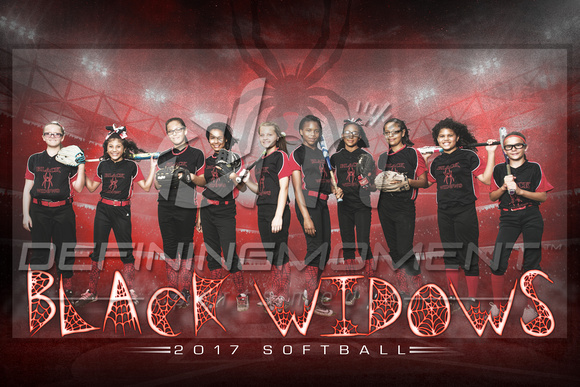 Black Widows Softball 2x3