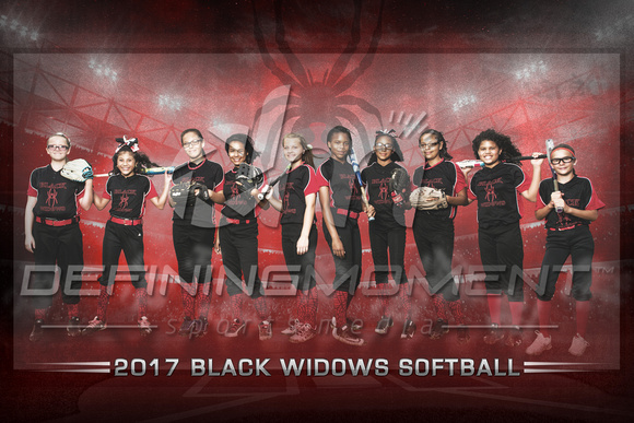 Black Widows Softball 2x3-B