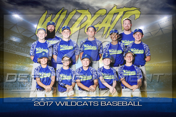 11U Wildcats