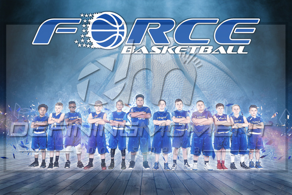 Force Basketball 2018
