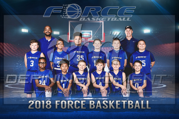 Force Basketball 2018 B