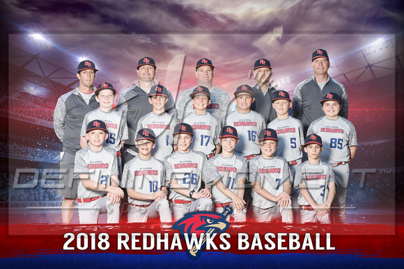 2018 RedHawks Baseball