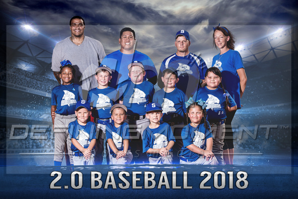 2.0 Baseball 2018 - Team